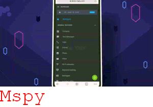 Mspy Installation Instructions